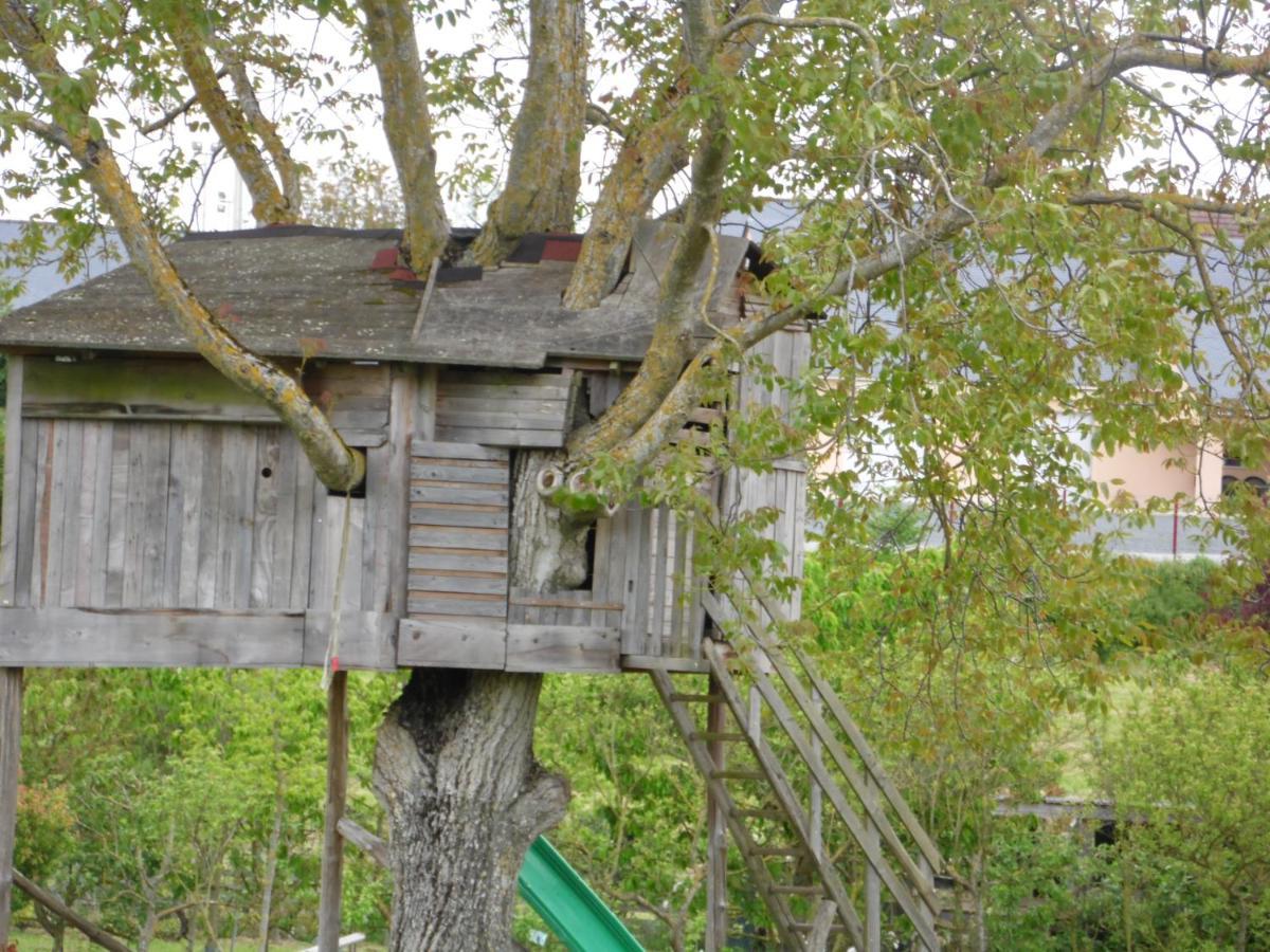 Au Parfum Des Lavandes Precigne Exterior foto